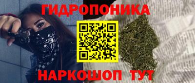 хмурый Жуковский