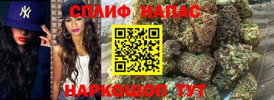 МДПВ Заводоуковск