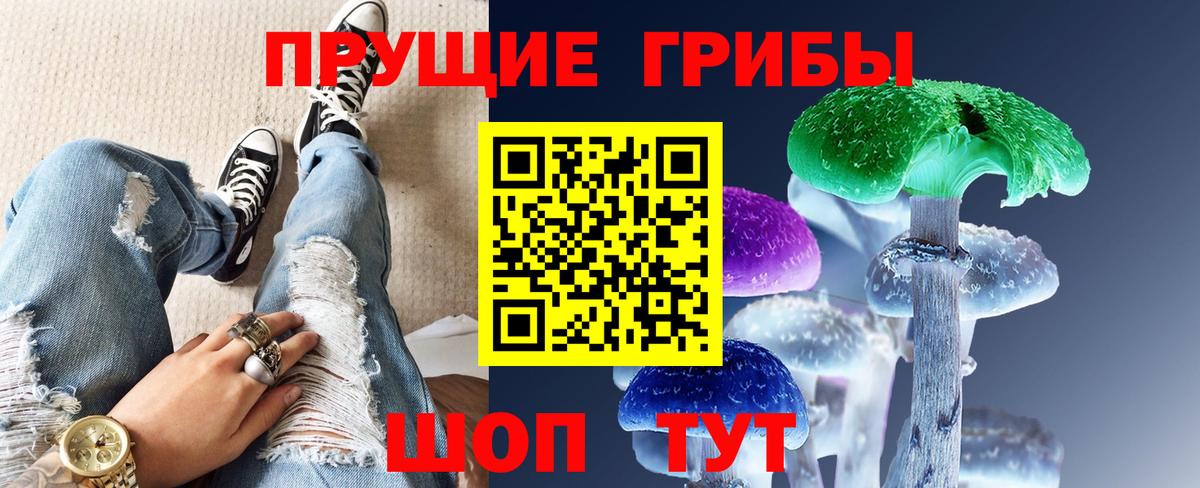 Ликино-Дулёво  Псилоцибиновые грибы Psilocybe  Вход с VPN  Галлюциногенные грибы мухоморы 